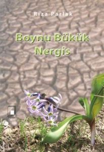 Boynu Bükük Nergis                                                                                                                                                                                                                                             