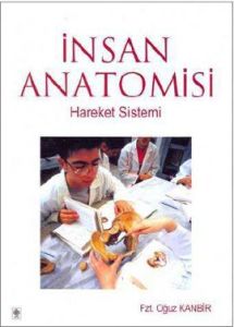İnsan Anatomisi                                                                                                                                                                                                                                                
