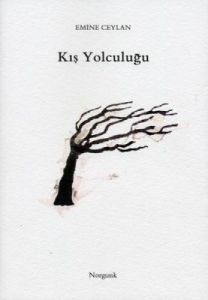 Kış Yolculuğu                                                                                                                                                                                                                                                  