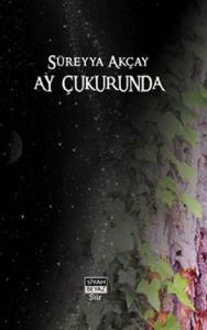 Ay Çukurunda                                                                                                                                                                                                                                                   