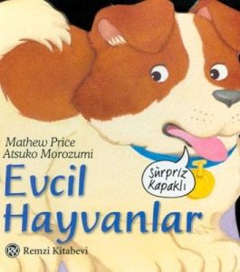 Evcil Hayvanlar                                                                                                                                                                                                                                                