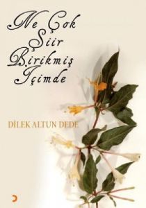 Ne Çok Şiir Birikmiş İçimde                                                                                                                                                                                                                                    