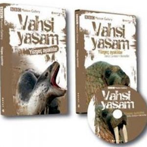 Vahşi Yaşam-Yüzgeç Ayaklılar                                                                                                                                                                                                                                   