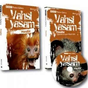 Vahşi Yaşam-Primatlar                                                                                                                                                                                                                                          