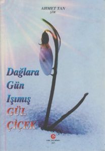 Dağlara Gün Işımış Gül Çiçek                                                                                                                                                                                                                                   