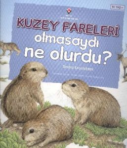 Kuzey Fareleri Olmasaydı Ne Olurdu?                                                                                                                                                                                                                            