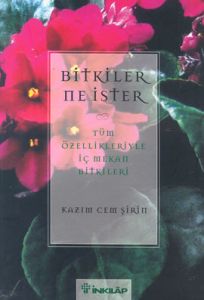 Bitkiler Ne İster: Tüm Özellikleriyle İç Mekan Bit                                                                                                                                                                                                             