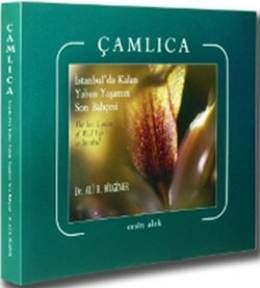 Çamlıca                                                                                                                                                                                                                                                        