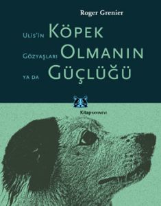 Ulis'in Gözyaşları ya da Köpek Olmanın Güçlüğü                                                                                                                                                                                                                 