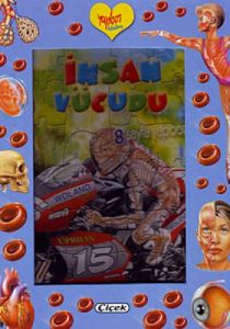 İnsan Vücudu                                                                                                                                                                                                                                                   