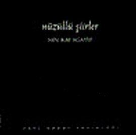 Nüzüllü Şiirler                                                                                                                                                                                                                                                