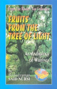 Fruits From the Tree of Light (İngilizce)                                                                                                                                                                                                                      