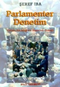 Parlamenter Denetim Yolları, Etkinliği ve Susurluk                                                                                                                                                                                                             