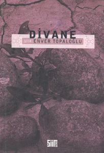Divane                                                                                                                                                                                                                                                         