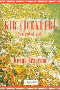 Kır Çiçekleri                                                                                                                                                                                                                                                  
