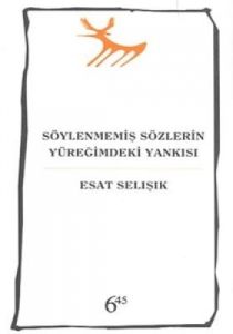 Söylenmemiş Sözlerin Yüreğimdeki Yankısı                                                                                                                                                                                                                       
