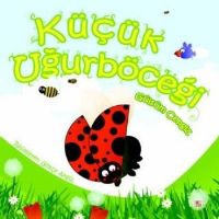 Küçük Uğurböceği                                                                                                                                                                                                                                               