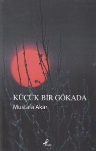 Küçük Bir Gökada                                                                                                                                                                                                                                               