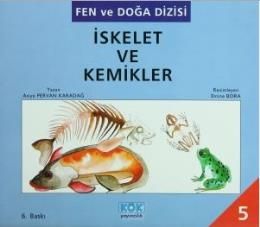 İskelet ve Kemikler                                                                                                                                                                                                                                            